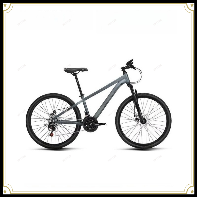 Mountain Bike Variable Speed B - đánh giá và giá Commuting With Bike