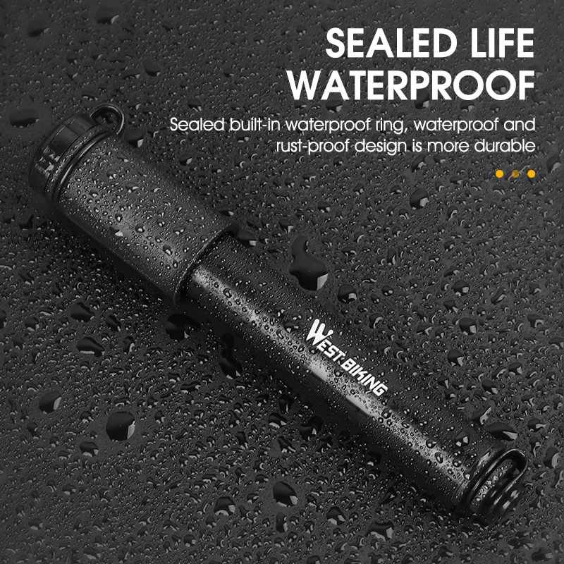 WEST BIKING Mini Bike Pump 100 - đánh giá và giá Bike Pump Frame Mount