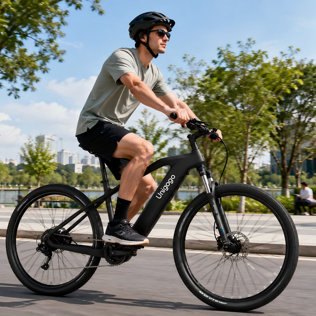 M9 OEM Off-Road Electric Bicyc - đánh giá và giá Commuting With Bike